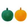 Armadilha Adesiva para Insetos, Armadilha para Moscas-da-Fruta de Bucha, Atrativo para Vespas e Marimbondos, Capturador de Moscas-da-Fruta, Placa de Papel Amarelo Dupla Face