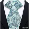 Corbata de negocio de flor de anacardo para hombre, traje formal, estampado paisley vintage, corbata de seda artificial anudada a mano estilo europeo
