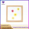 Fábrica personalizada criativa flores secas folhas espécime moldura de papel cortado moldura de imagem dupla face de vidro moldura de foto mesa fábrica personalizada