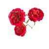 Flor Artificial 3 rosas Austin grandes rojo rosa Austin sala de bodas fila de piso pared de fondo flor decorativa