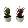 Novo Vaso Quadrado Aloe Vera Artificial Grama Espada Suculenta Pequeno Bonsai Plantas Verdes Artificiais Enfeites Decorações de Mesa para Casa e Escritório