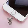 2D Novo Urso Pardo Pequeno de Acrílico Popular Transfronteiriço Pingente Tipo-C para Protetor de Poeira de Celular