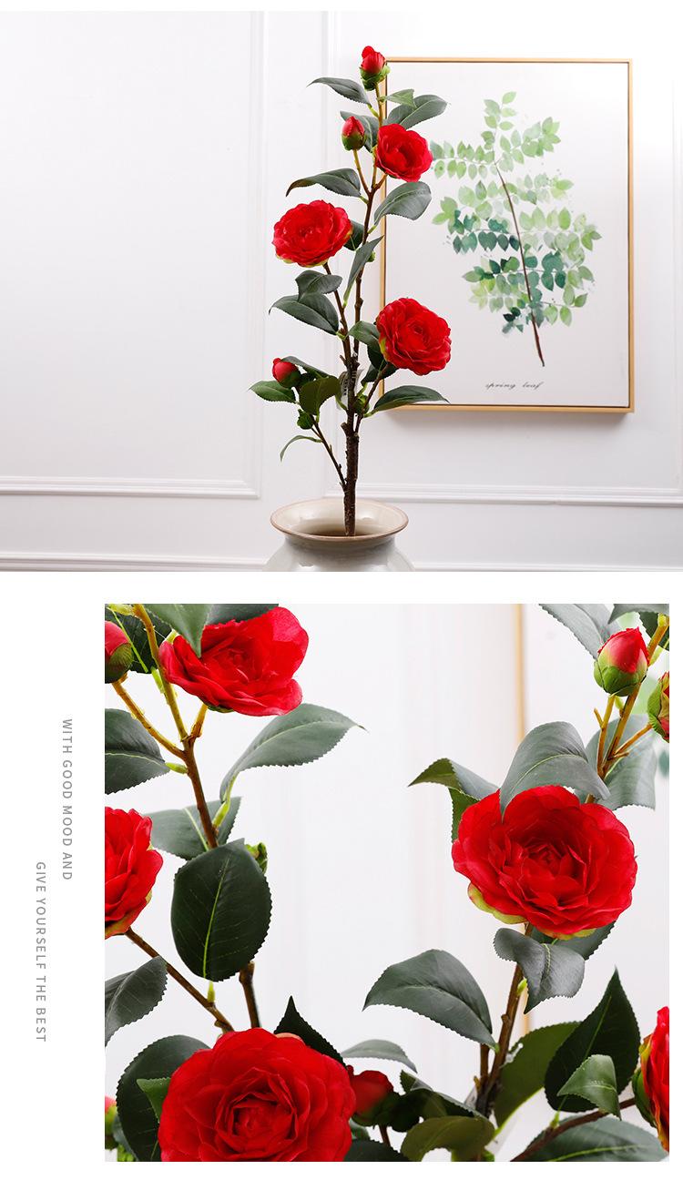 单支茶花_13.jpg