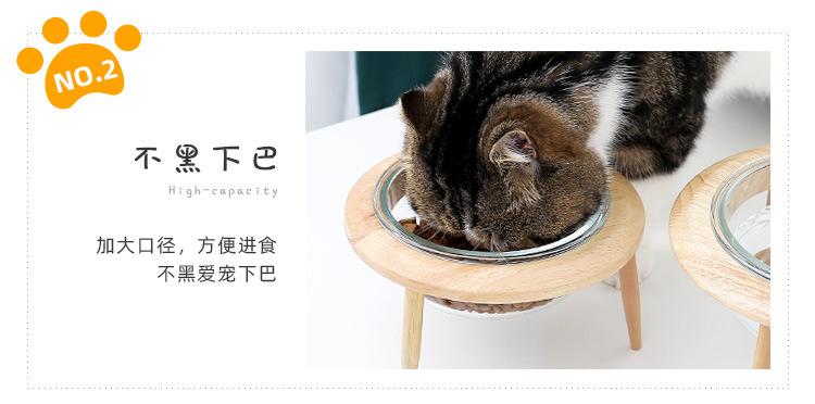 玻璃飞碟猫碗_06.jpg