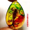 Colgante de Ámbar con Espécimen de Insecto Real Ámbar Insecto Gota de Agua con Forma de Insecto Escorpión Mariposa Abeja Flor Ámbar Transmisión en Vivo Venta al por Mayor