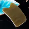 Placa Gua Sha de Imitación de Cuerno Natural, Tubo Gua Sha, Herramienta de Masaje de Espalda, Herramienta de Belleza Facial, Palo Gua Sha