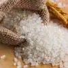2025 Novo Arroz Panjin 5kg Arroz de Grão Longo Fragrante do Nordeste 5kg Arroz de Pântano de Caranguejo Direto do Fabricante 500g Arroz Japonês