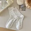 Meias Estilo Primavera Verão Femininas Fio de Algodão Puro Meia de Cano Médio Feminina Quatro Estações Novo Mais Vendido Meias Brancas Aconchegantes Estilo Ins