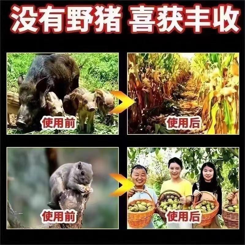 详情-10