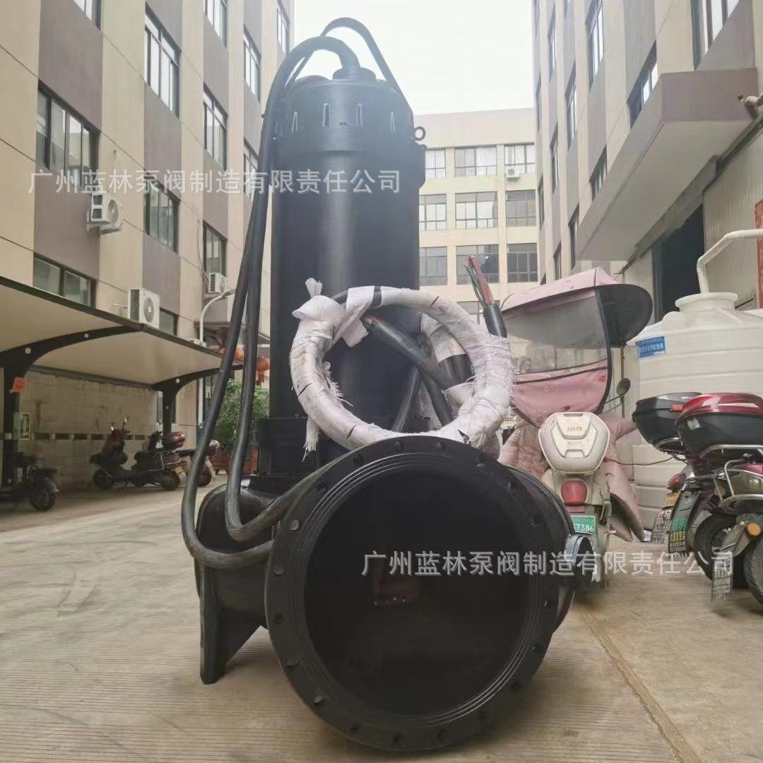 潜污泵04