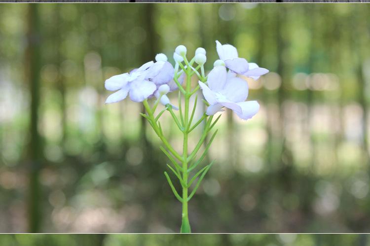 125-花草_02.jpg