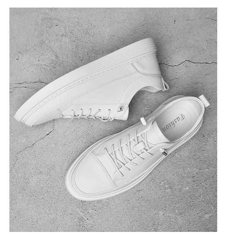 01-02-1_12.jpg?x-oss-process=image/format,png