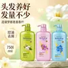 Champú de Marca Premium 750g Botella Grande Cuidado del Hogar Anticaspa Aceite de Té Verde Control de Grasa Fragancia a Orquídea Control de Grasa Voluminizador