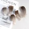 80 Tipos de Penas Naturais de Faisão, Penas Reais, Decorações Nativas Americanas, Acessórios DIY, Acessórios de Cabelo, Peças para Brinquedo de Vara para Gato