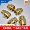 Conector de manguera de jardín americano GHT-NPT-pulgada conector de latón anticongelante