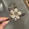 Clip de Color a Juego Pinza de Tiburón Gris Trasera Flor en la Cabeza Pinzas Spice Girls Combinación Perfecta Perezoso Cabeza de Bola Pequeña Fijo