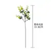Decoração de Casa Galho Único de Eucalipto Estilo Ins Flor Artificial Fabricante Comércio Exterior Casamento Atacado Flores Artificiais e Plantas Verdes