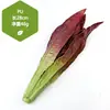 Modelos de Frutas y Verduras de Imitación para Montaje de Escenas, Decoraciones de Cocina, Accesorios de Fotografía y Decoración Suave Pastoral