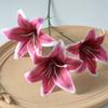 Simulação flor 3 cabeça fita lírio 3D impressão casamento auditório decoração flor parede falso flor tiro adereços fábrica atacado