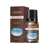 Difusor de Ar Fresco Aromaterapia Óleo Essencial Solúvel em Óleo Transfronteiriço Vela de Aromaterapia em Gesso Máquina de Aromaterapia Perfume de Planta Óleo Essencial