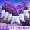 Sachê de Flores Secas de Lavanda Natural Sachê Desodorizante para Guarda-Roupa Sachê para o Festival do Barco-Dragão Portátil e Duradouro