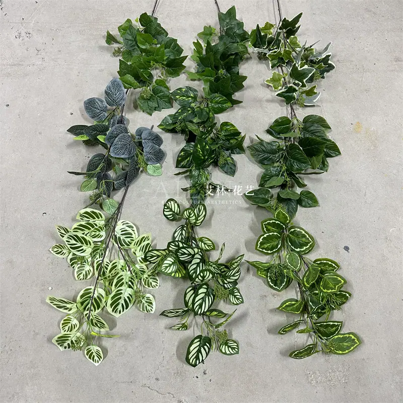 3叉绿植叶