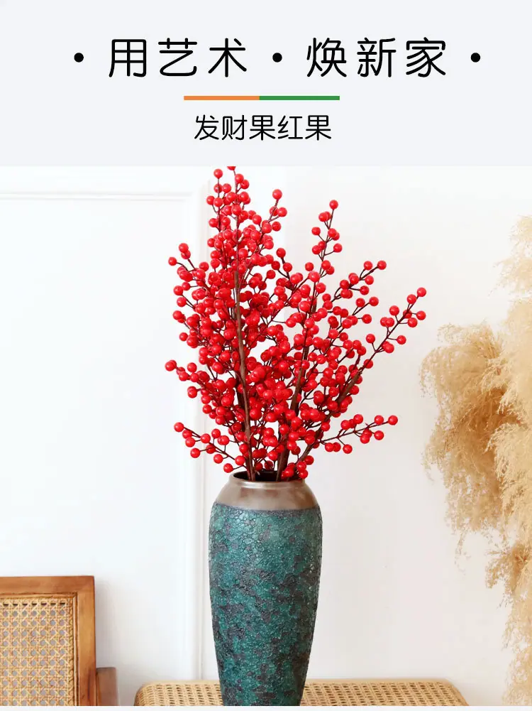 发财果红果_01.jpg