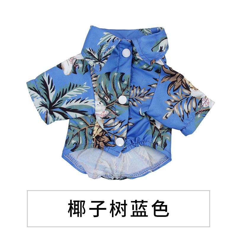 椰蓝.jpg