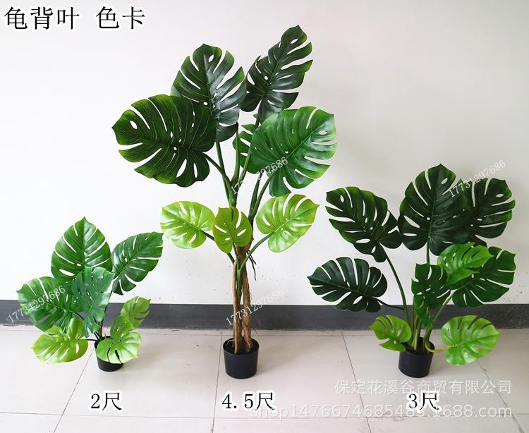 龟背叶 色卡_副本.jpg