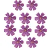 Flor Artificial Flor de Cerezo Spot Crisantemo de Seda Accesorios Hechos a Mano DIY Flor para Tocados Hebilla de Flor Accesorios Paquete de Materiales DIY Transfronterizo