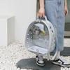 Hola Brid Periquito Sol Pequeño Bolsa Transportadora de Pájaros Mochila para Exteriores Transparente Portátil Gris Cacatúa Periquito