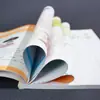 La Victoria es Innata: Lectura disfrutable del Huainan Zizi para cultivar el pensamiento resiliente y adaptable de los niños, y la sabiduría del éxito