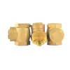 Válvula de Retención Horizontal de Latón Shanghai Hugong H14W-16T Rosca para Tubería de Agua Válvula Antirretorno Válvula de Retención de Oscilación