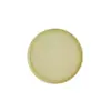 Anel Pequeno Clio Laurence Base de Plástico Balcão Nórdico Jardim Externo Interno Bandeja para Vaso de Flores Estilo Nórdico