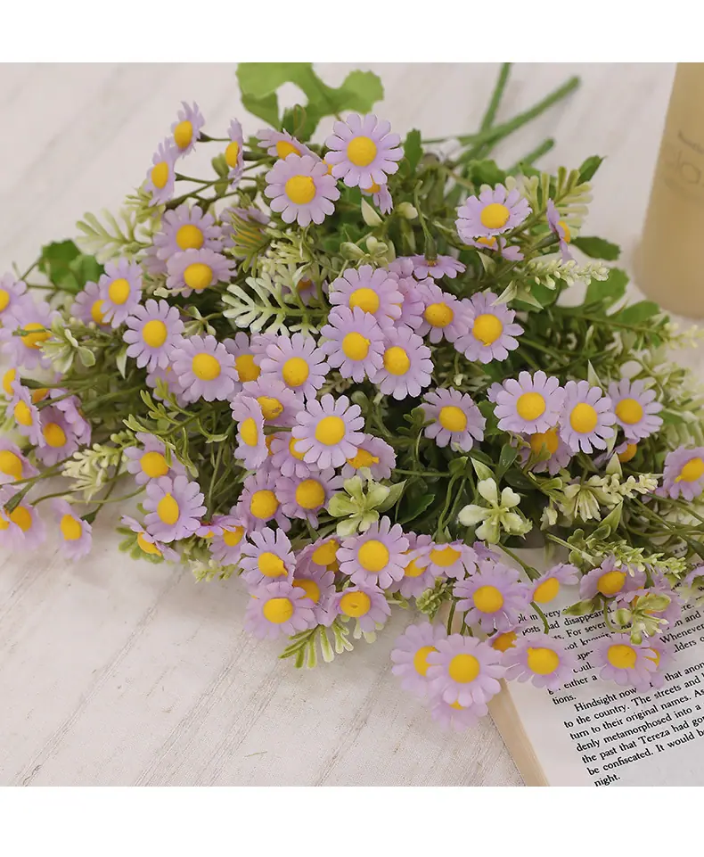 元霜春把束小雏菊_09.jpg