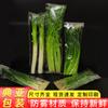 Bolsa opp con puntos bolsa para verduras bolsa de embalaje para verduras frescas bolsa de plástico grande perforada bolsa opp transparente para verduras al por mayor