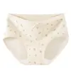 Pantaletas Florales Extendidas en la Entrepierna para Mujer, Pantaletas de Algodón Puro, Entrepierna de Algodón Puro Pura Pasión, Entrepierna Antibacteriana, Bragas de Nuevo Estilo para Mujer