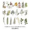 Pacote de Adesivos Infeelmepet Série Yamano Shiliui Materiais de Decoração Manual de Plantas 40 Folhas em 4 Tipos para Escolher