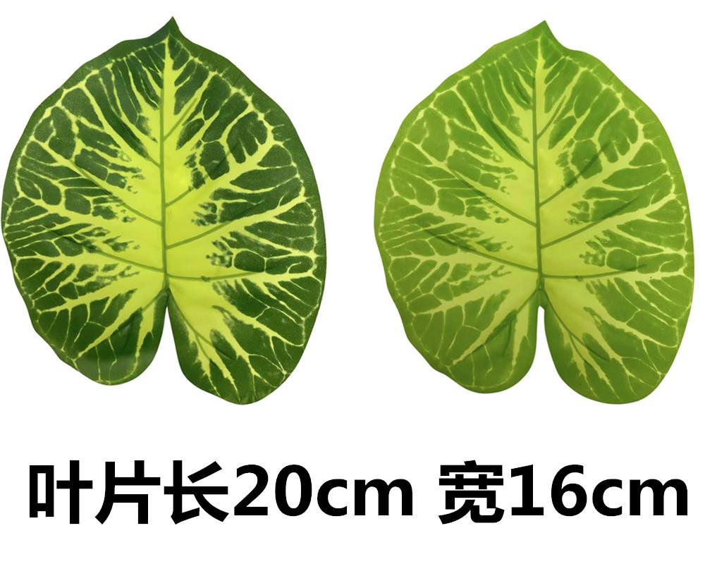 未命名_副本52