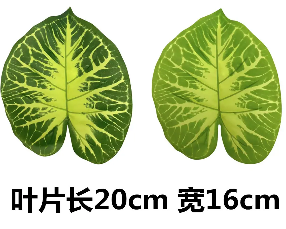 未命名_副本52