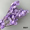 Hierba de Amante Flor Eterna Flor Real Natural Ramo de Flores Eternas Caja de Regalo para el Día de San Valentín con Arreglo Floral de Aromaterapia Especial al por Mayor