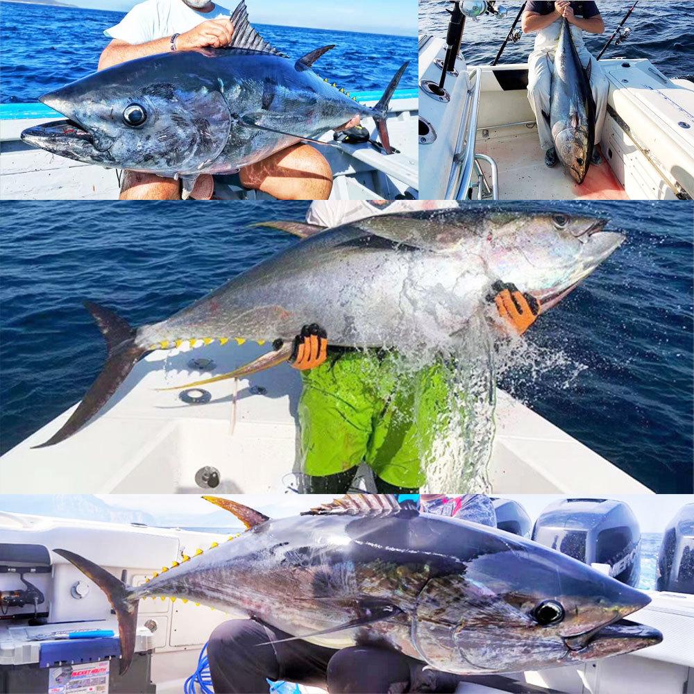 analone-shell-stickbait10.jpg