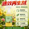 Regenerador de Acción Rápida para Plantas Líquido Revitalizante para Flores Planta en Maceta Tallos Desnudos Hojas Amarillentas Caída de Hojas Jardín Universal Fertilizante Soluble en Agua Listo para Usar