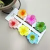 Clipes de Cabelo Coloridos de Flor de Plumeria de 4cm Mais Vendidos na Europa e América, Grampos de Cabelo Florais Transfronteiriços, Acessórios de Cabelo da Moda para Festas na Parte de Trás da Cabeça