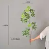Rama Grande de Madera con Forma de Pico de Pato de Hoja de Dinero Artificial para Arreglos Decorativos en Habitaciones Modelo, B&Bs, Salas de Estar y Decoración del Hogar