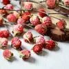 Materiais de Flores Secas Galhos Bolotas Pinhas Algodão Vagens de Lótus Jardim de Infância Artesanato Velas Aromáticas Fatias Decoração Adereços para Fotos