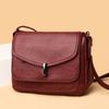 Bolsa Feminina Transfronteiriça 2024 Nova Bolsa para Mulheres de Meia-idade Estilo Coreano Simples Bolsa de Ombro Transversal Bolsa de Mão Atmosférica Tendência para Mãe