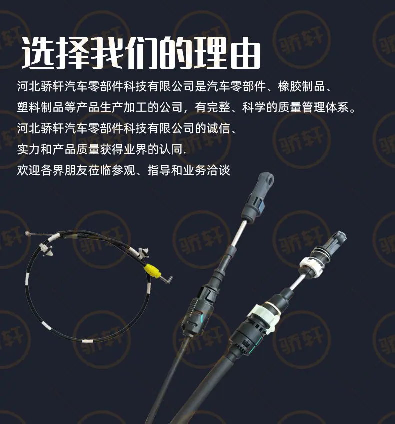 (骄轩)_ (5)