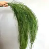 Flores Verdes Eternas, Atmosfera de Primavera, Buquês para Loja, Decoração de Roupas Femininas, Materiais Florais de Galhos Secos, Cena de Arranjo Floral para Recepção
