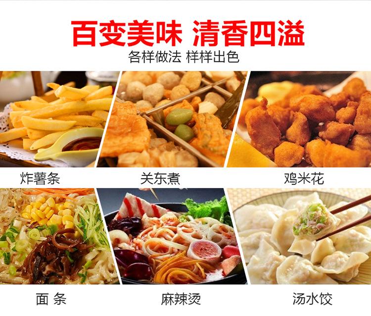 油炸锅9.jpg